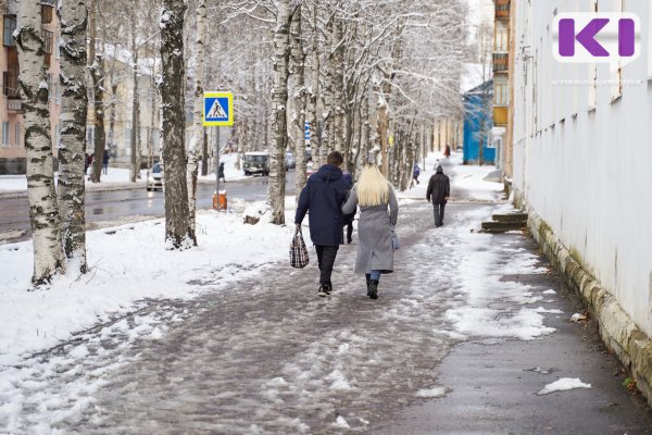 Погода в Коми 4 ноября: мокрый снег, гололед, -4...+1°С

