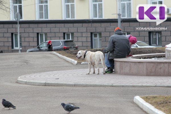 Сидеть: в Коми определились с наказаниями для нерадивых собаководов