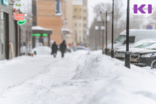 Погода в Коми 29 января: небольшой снег, на крайнем юго-востоке ночью умеренный