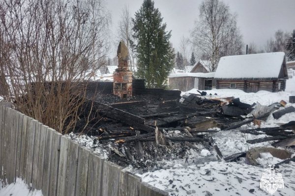 В Сыктывкаре погиб дачник 