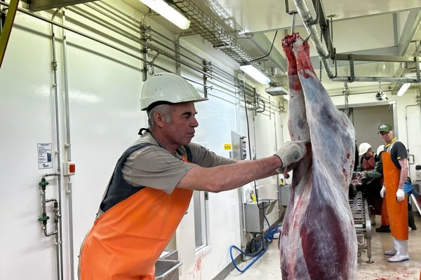 Агрокомплекс 