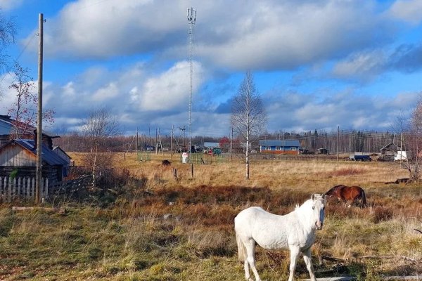 Позвоните в Верхний Воч: в Коми вышла в эфир первая базовая станция сотовой связи отечественного производителя