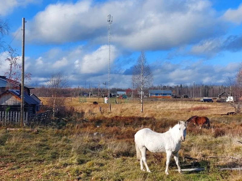 Позвоните в Верхний Воч: в Коми вышла в эфир первая базовая станция сотовой связи отечественного производителя