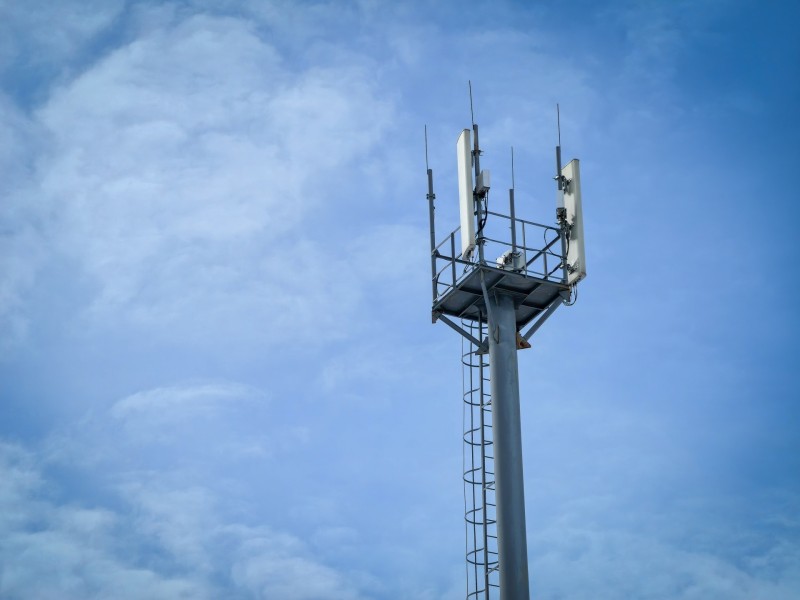 В краю "Корабельной чащи" Пришвина появилась связь МТС

