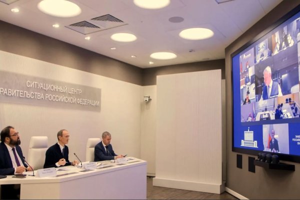 Власти задумались над введением правил использования ИИ в России

