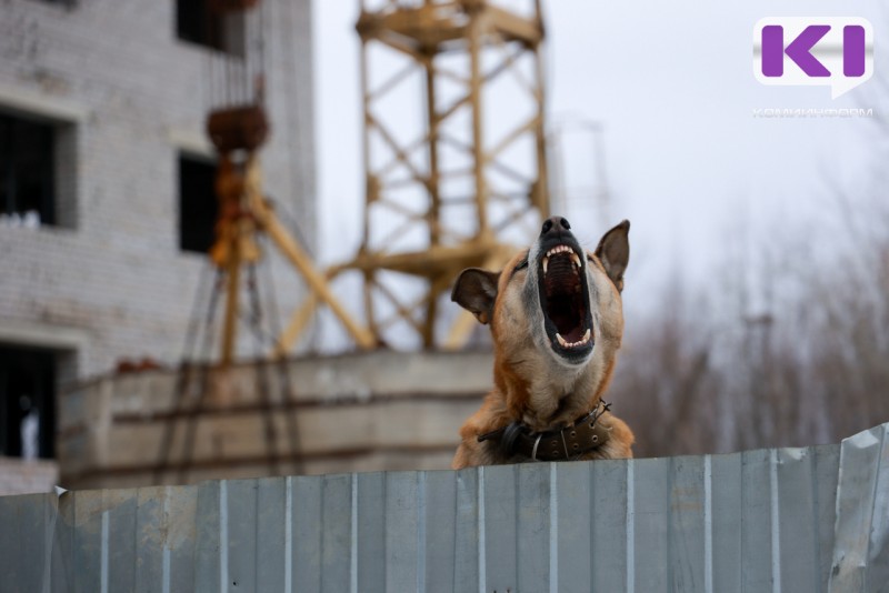 В Коми утверждено обвинительное заключение по уголовному делу о нападении на двоих сторожей пункта подготовки и сбора нефти