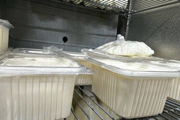 В Усть-Цилемском районе открыли цех по переработке молока