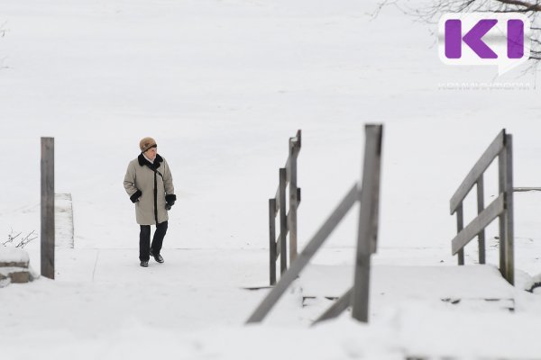 Ледовая переправа в Алешино открыта для пешеходов