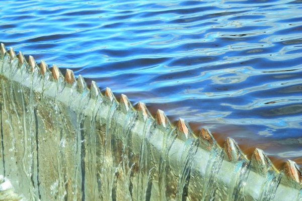 Сыктывкарский ЛПК завершил модернизацию основного водовыпуска 
