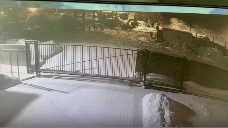 Верхсуд Коми оставил в силе приговор в отношении виновных в смерти сотрудницы лесоперерабатывающего предприятия