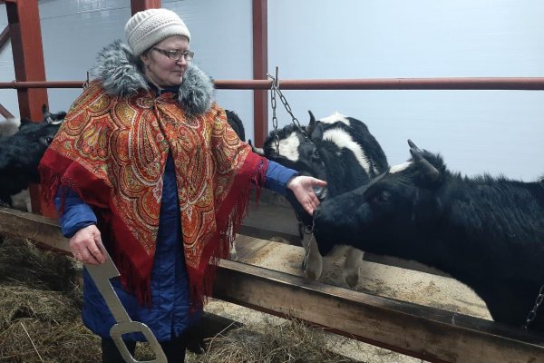 Профессионализм, опыт, коллектив и семья помогают главе КФХ из Усть-Цилемского района добиваться успеха

