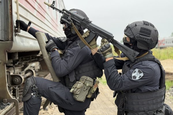 В Коми за 2025 сотрудники спецподразделений Росгвардии выполнили более 1460 специальных мероприятий