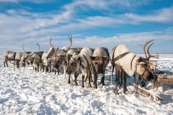 Сельские магазины потребкооперации в Коми освободят от налога на имущество