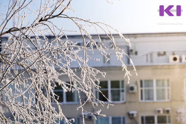 Погода в Коми 6 января: -18...-20°С, местами гололед и изморозь