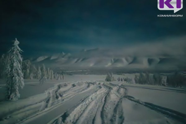 Беларусь, Казахстан, Узбекистан, Австрия и КНР: кто побывал в нацпарке 