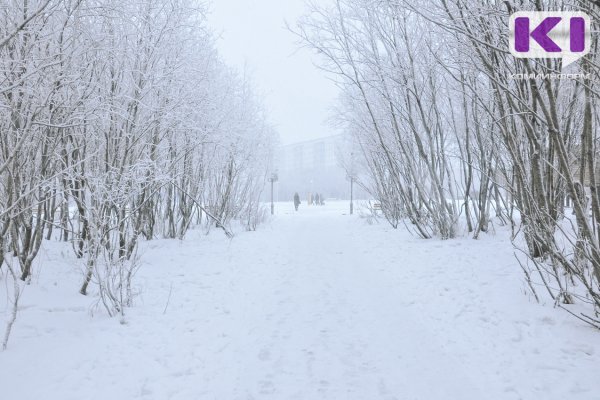 Погода в Коми 12 января: на крайнем северо-востоке до -33°С