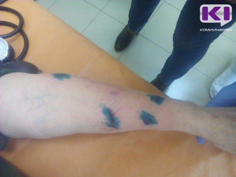 Госдума хочет увеличить штрафы нерадивым хозяевам собак до 50 тысяч рублей 