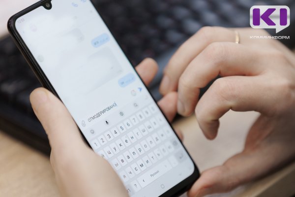 Житель Княжпогостского района оштрафован за оскорбление своей коллеги в рабочем чате