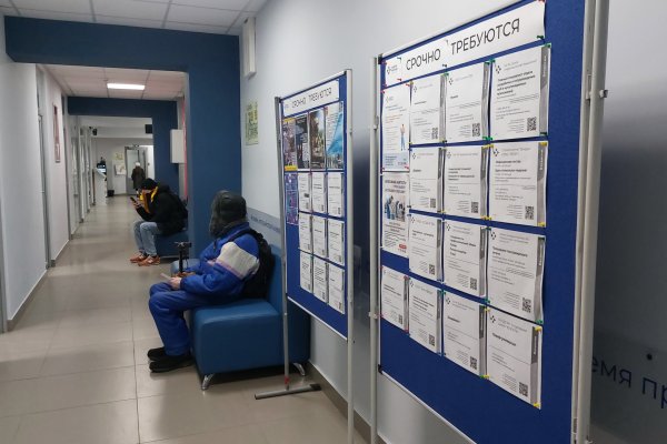 86 человек трудоустроились за три рабочих дня 2026 года при поддержке службы занятости Коми