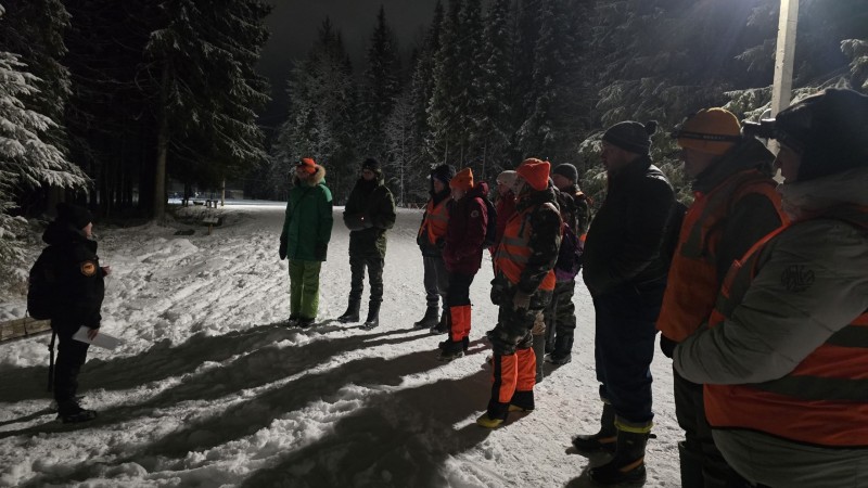 177 человек найдены живыми: "ЛизаАлерт" подвел итоги работы в Коми за 2025 год