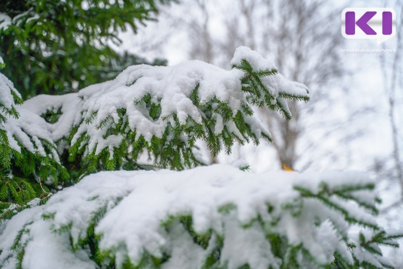 В Сыктывкаре оперативно устраняют завалы на лыжной трассе в районе "Динамо" 