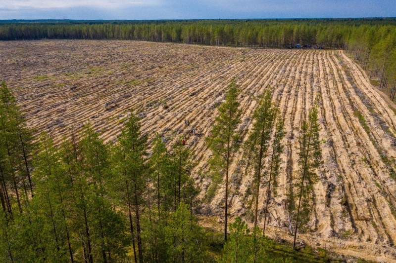 АО "Транснефть – Север" подвело итоги работы в области экологии и охраны окружающей среды за 2025 год

