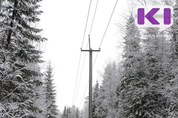 Энергетики полностью восстановили электроснабжение нескольких населенных пунктов Сысольского района