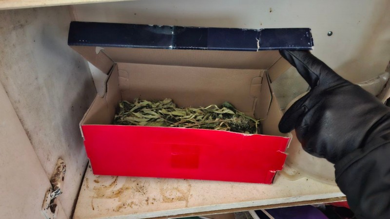 В Усть-Вымском районе полицейские изъяли свыше 1 кг конопли из гаража местного жителя