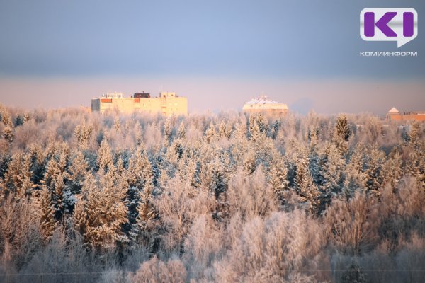 В Воркуте в декабре зафиксировано 19 случаев превышения ПДК по угарному газу 
