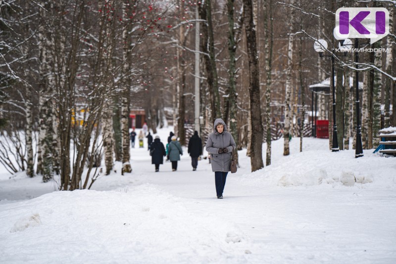 Погода в Коми 23 января: морозы сохраняются