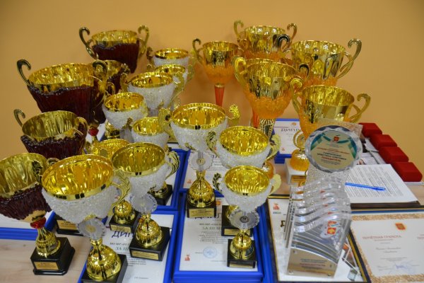 Сотрудники отрасли спорта в Коми получили различные награды