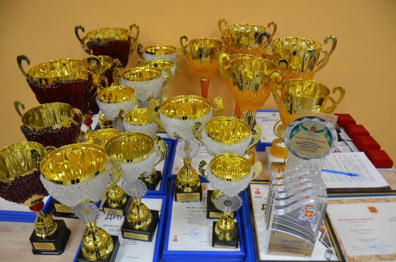 Сотрудники отрасли спорта в Коми получили различные награды