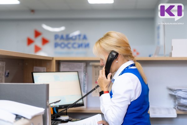 Услугами самозанятых пользуются 19% компаний Сыктывкара 

