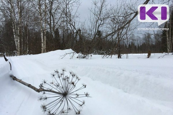 Власти Сыктывкара выделят средства из резервного фонда для расчистки дороги от снега к сёлам Озёл и Сёйты