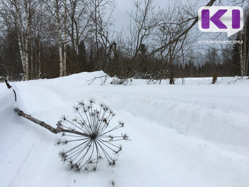 Власти Сыктывкара выделят средства из резервного фонда для расчистки дороги от снега к сёлам Озёл и Сёйты
