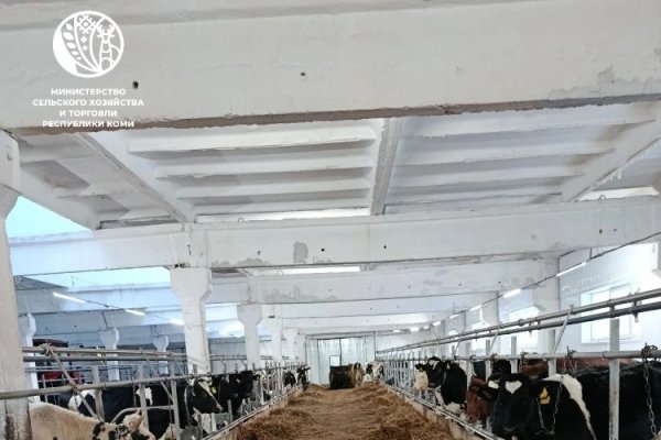 Год села: при господдержке восстановлено недействующее животноводческое помещение в Сыктывдинском районе