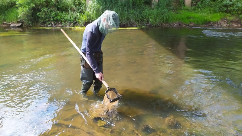 "Невидимые стражи рек": ученые Коми выяснили, как ДНК червей помогает "читать" здоровье водоемов