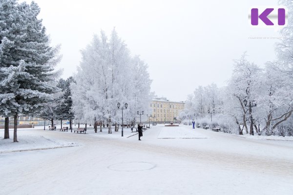 Сыктывкарка получила штраф за пикет у здания суда на Стефановской площади