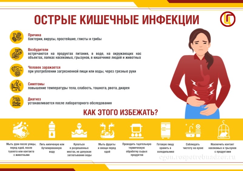 В Сыктывкаре наблюдается рост заболеваемости кишечными инфекциями - организована проверка в отношении операторов питания 