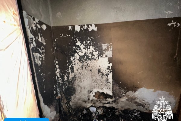 За сутки из-за пожаров в Коми эвакуировались около 300 человек