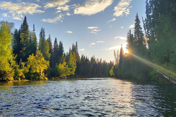Ученые Коми подтвердили, экосистема реки Вымь в районе рудника 