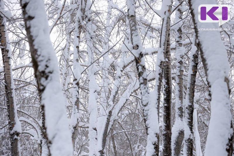 Погода в Коми 6 февраля: днем небольшой снег, на северо-востоке -13...-18°С