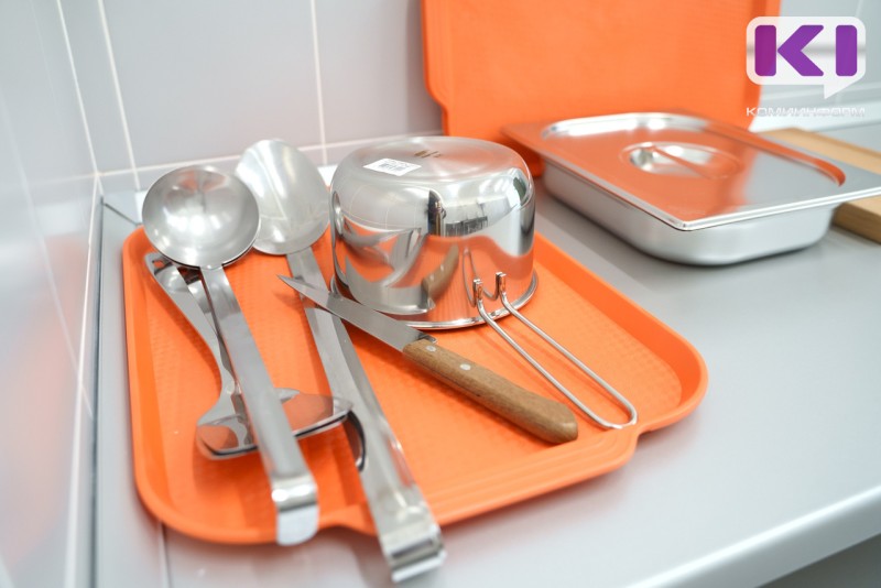 Установлены причины групповой заболеваемости сальмонеллезом в детских садах Усть-Кулома