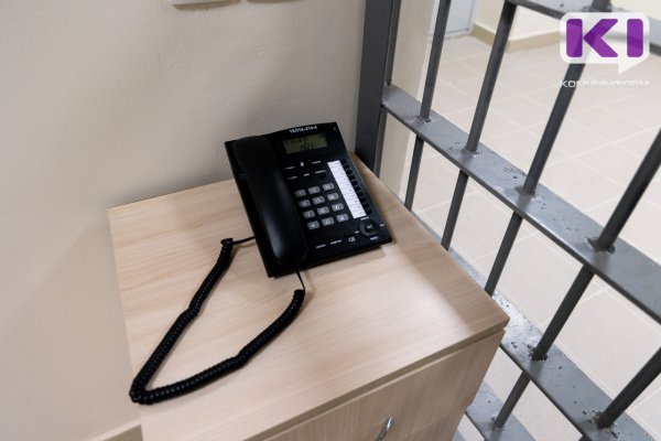 В Княжпогостском районе бывших руководителей колонии признали виновными в коррупционном преступлении