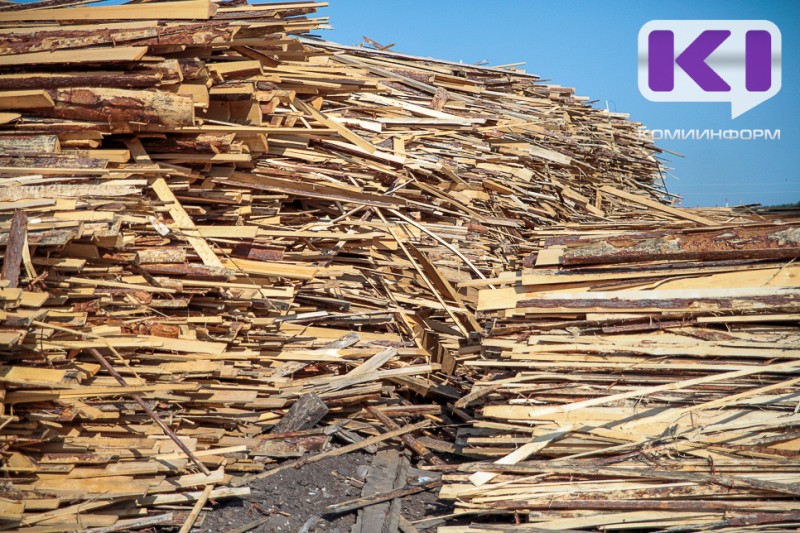 В Прилузье подельники компенсировали ущерб от незаконной рубки леса