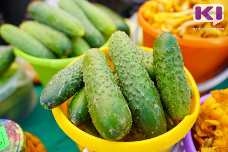 Огурцы подорожали, помидоры стали дешевле: как изменились цены в Коми за неделю