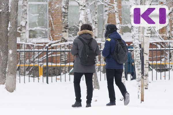 Актированный день объявлен в северных районах Коми 