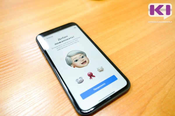 Сыктывкарец похитил у бывшей тещи полмиллиона рублей