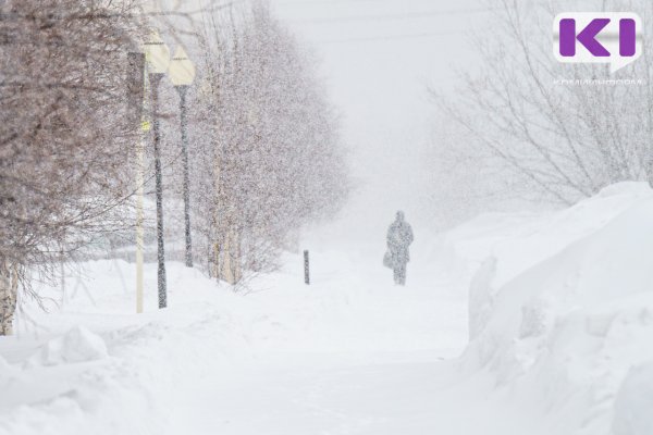 Вот блин: Коми перед Масленицей завалит снегом
