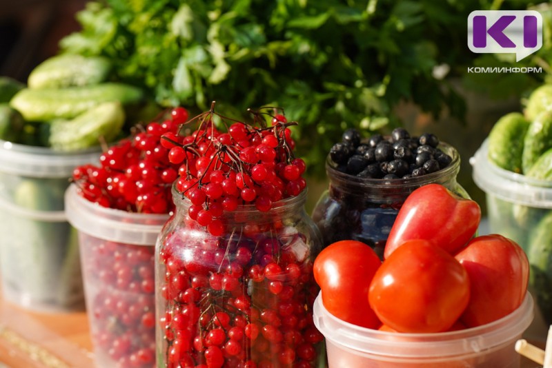 Когда в Коми сажать рассаду в 2026 году: лунный посевной календарь